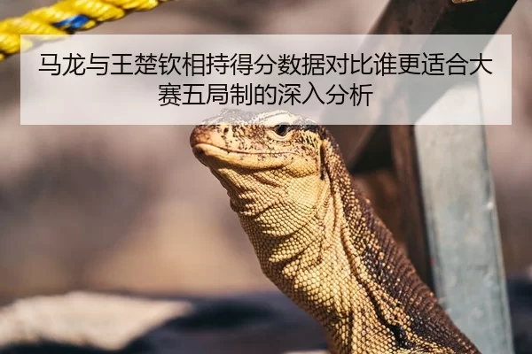 马龙与王楚钦相持得分数据对比谁更适合大赛五局制的深入分析