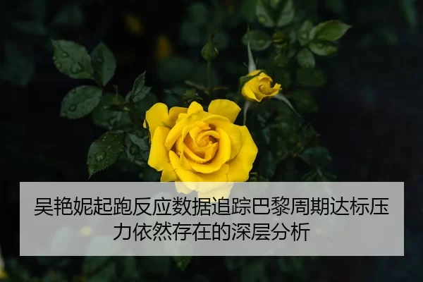 吴艳妮起跑反应数据追踪巴黎周期达标压力依然存在的深层分析