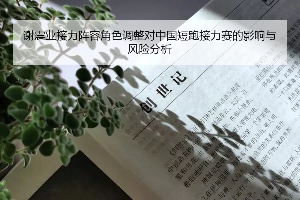 谢震业接力阵容角色调整对中国短跑接力赛的影响与风险分析