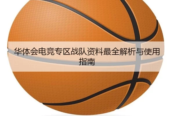 华体会电竞专区战队资料最全解析与使用指南