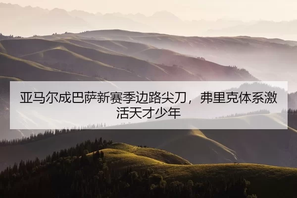 ya-ma-er-cheng-ba-sa-xin-sai-ji-bian-lu-jian-dao-fu-li-ke-ti-xi-ji-huo-tian-cai-shao-nian-2-305.jpg
